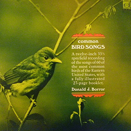 Common-Bird-Songs