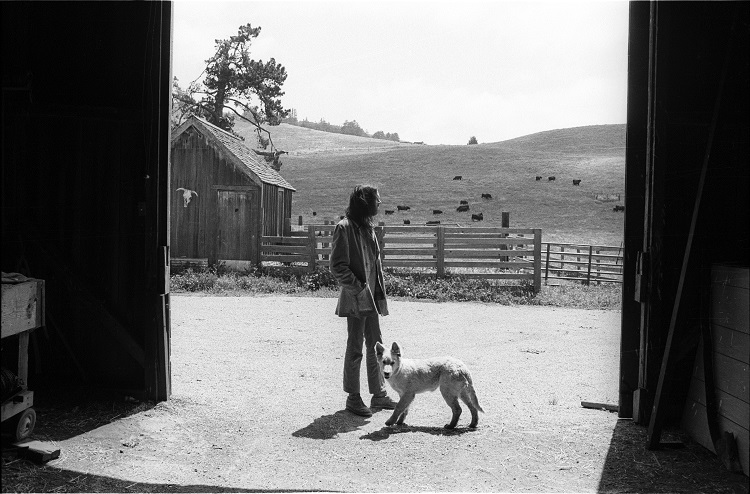#91_#1502 -Neil Young dog barn-June 1, 1971-small