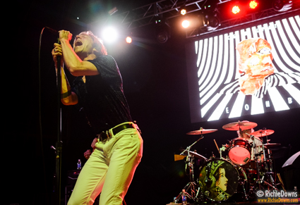 Cage the Elephant-KERFUFFLE-05-03-2014-MPP-RCD--48