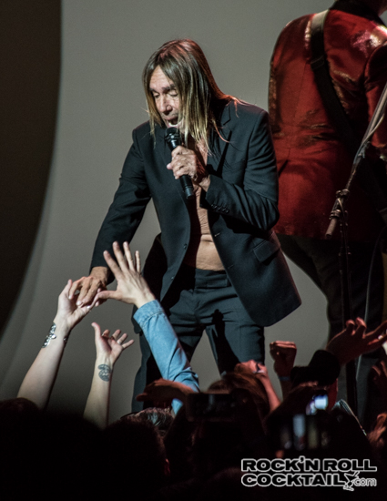 Iggy Pop photographed by Jason Miller-10