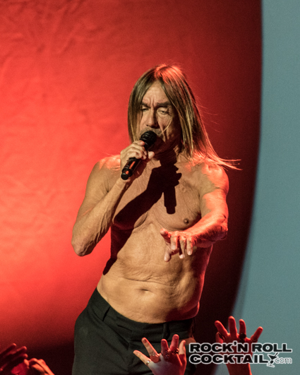 Iggy Pop photographed by Jason Miller-24