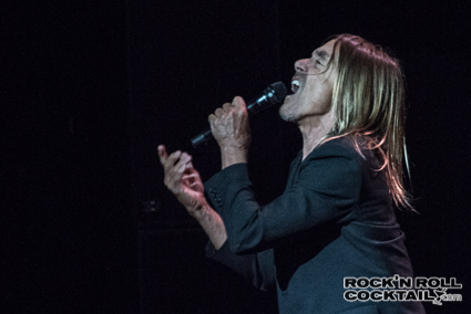 Iggy Pop photographed by Jason Miller-32