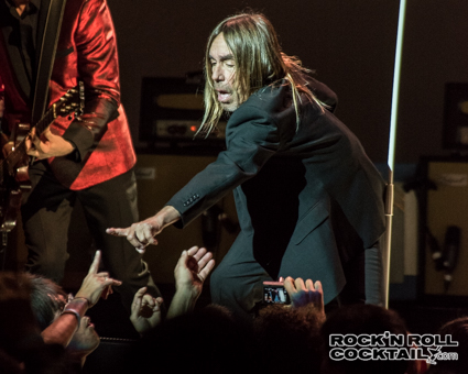 Iggy Pop photographed by Jason Miller-33