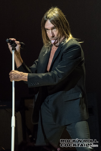 Iggy Pop photographed by Jason Miller-4