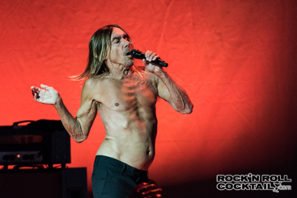 Iggy Pop photographed by Jason Miller-45