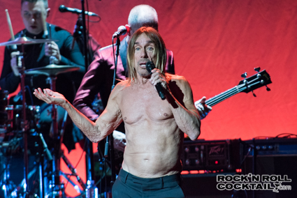 Iggy Pop photographed by Jason Miller-47